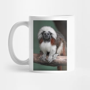 Cotton-top Tamarin Mug